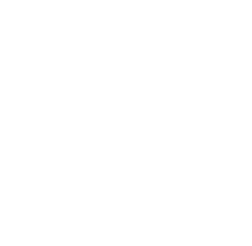 Code Icon
